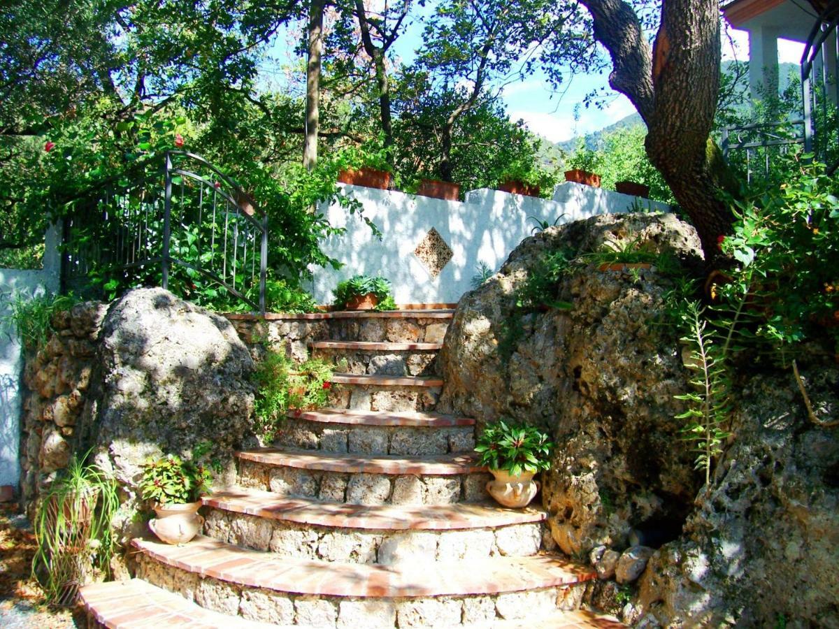 B&B La Casa Del Gelso Acquafredda Exterior photo