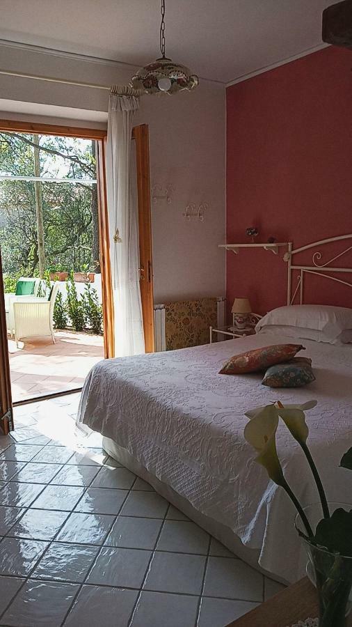 B&B La Casa Del Gelso Acquafredda Exterior photo